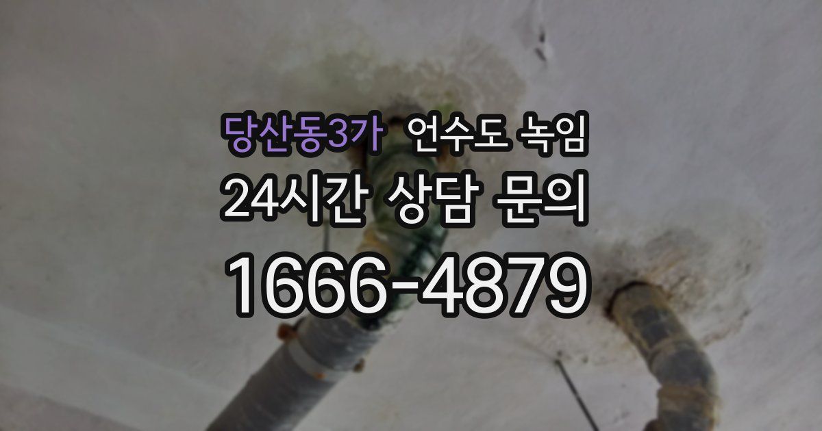 당산동3가 언수도 녹임