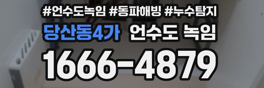 당산동4가 언수도 녹임