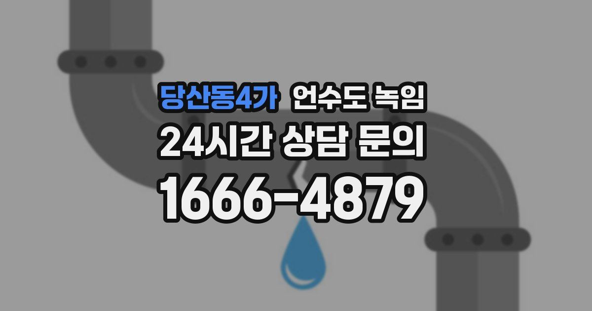 당산동4가 언수도 녹임