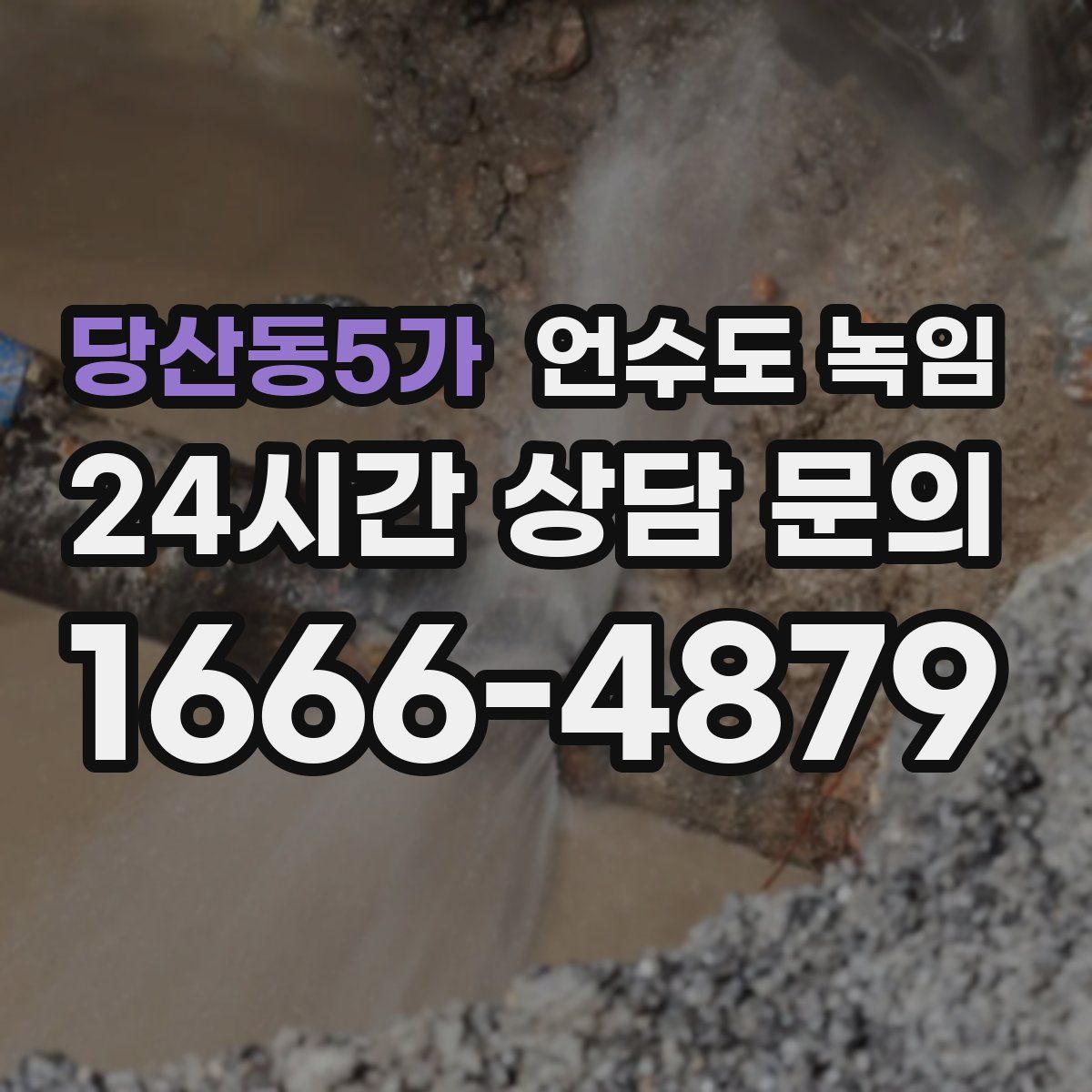 당산동5가 언수도 녹임