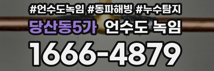 당산동5가 언수도 녹임