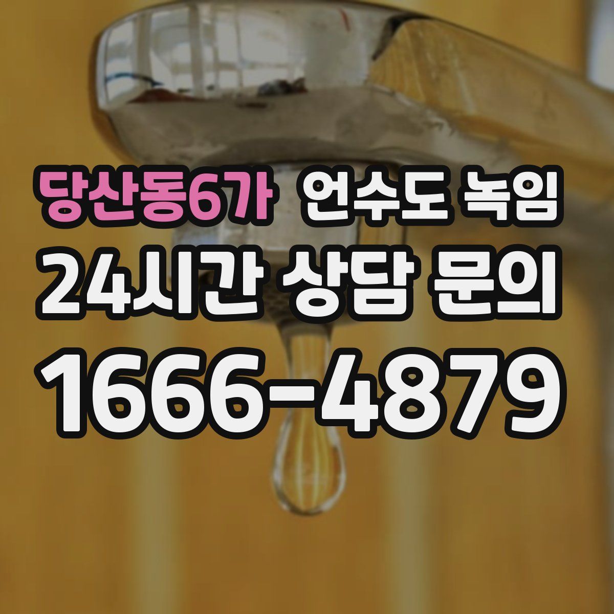 당산동6가 언수도 녹임