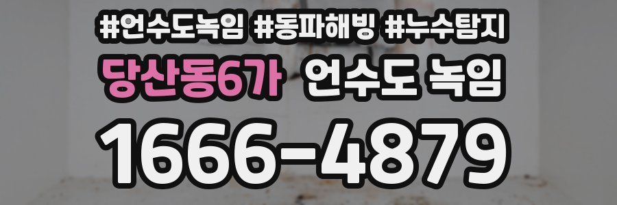 당산동6가 언수도 녹임