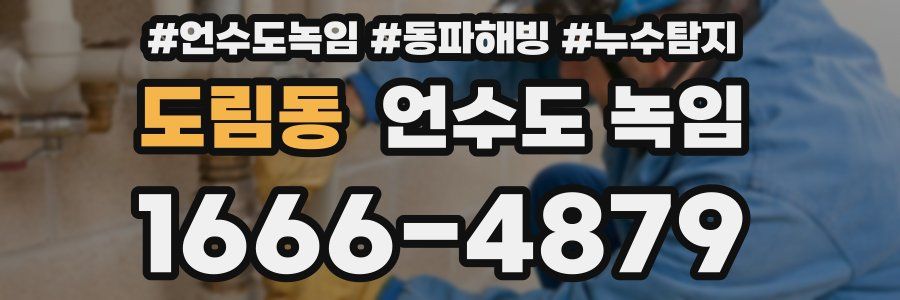 도림동 언수도 녹임