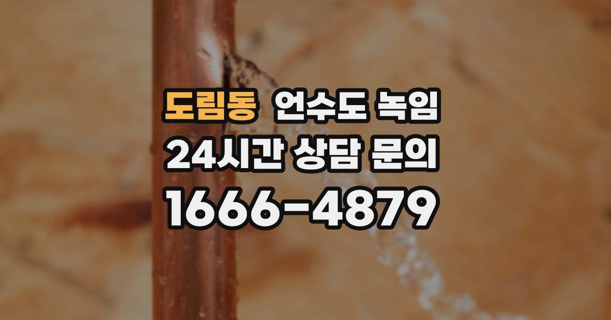 도림동 언수도 녹임