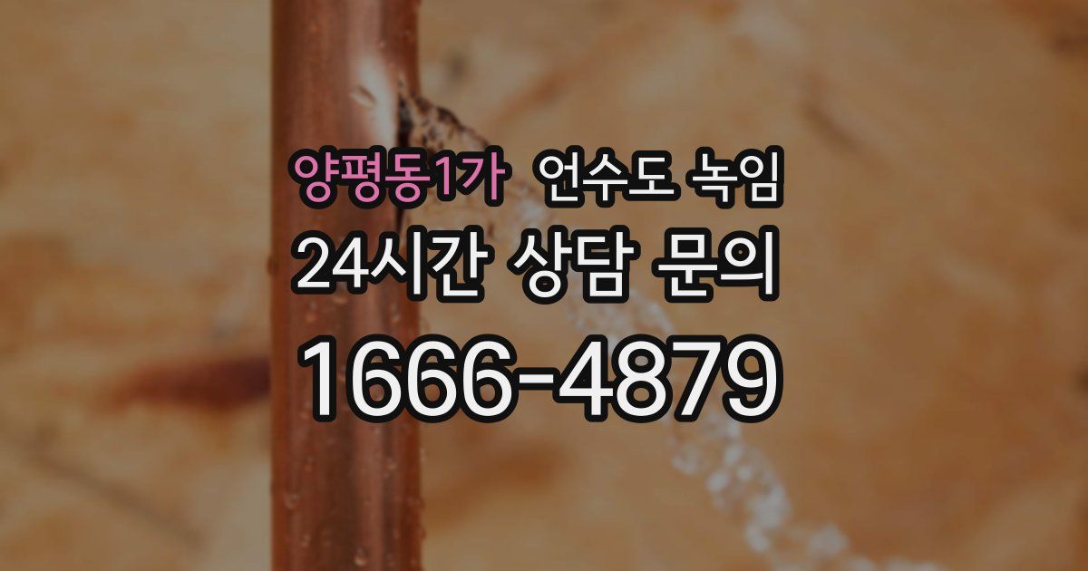 양평동1가 언수도 녹임