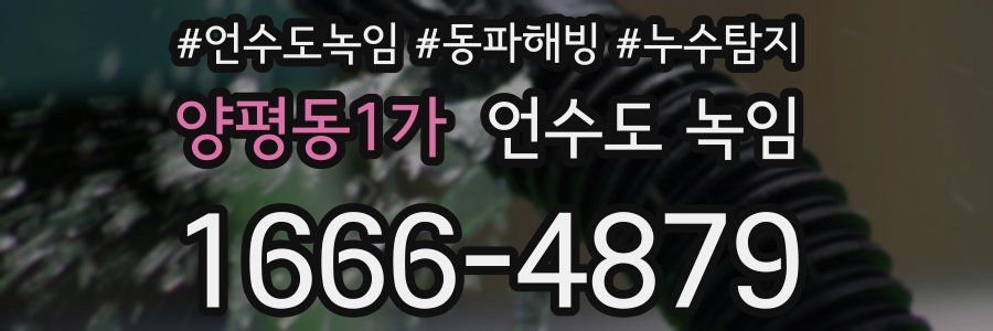 양평동1가 언수도 녹임