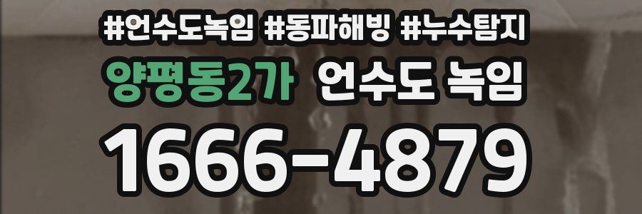양평동2가 언수도 녹임