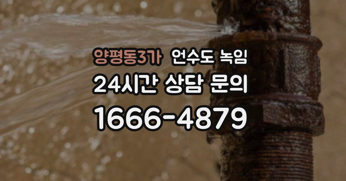 양평동3가 언수도 녹임