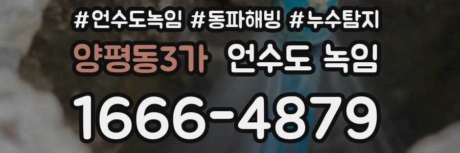 양평동3가 언수도 녹임