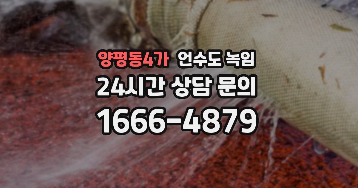 양평동4가 언수도 녹임