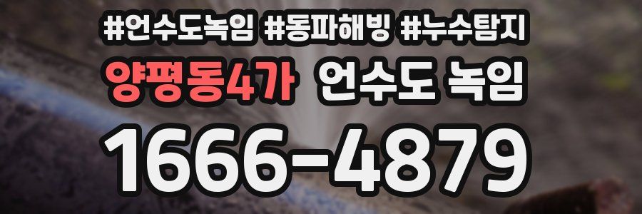 양평동4가 언수도 녹임