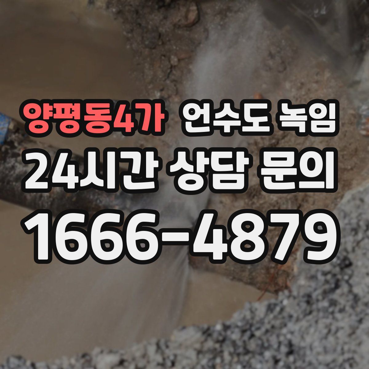 양평동4가 언수도 녹임