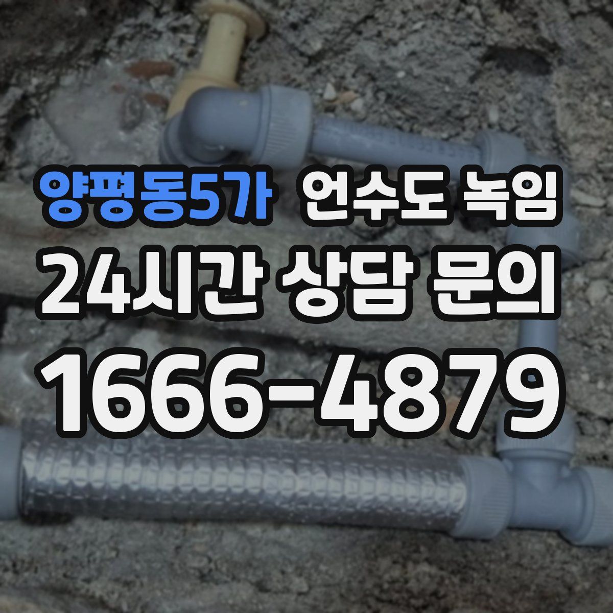 양평동5가 언수도 녹임