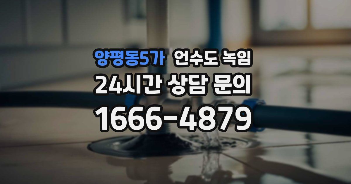 양평동5가 언수도 녹임