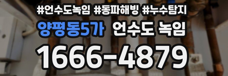 양평동5가 언수도 녹임