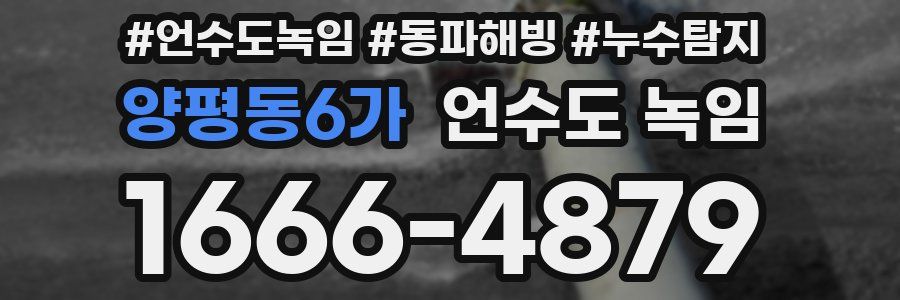 양평동6가 언수도 녹임
