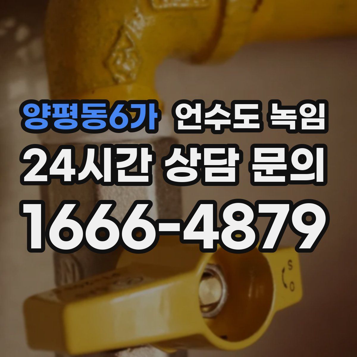 양평동6가 언수도 녹임