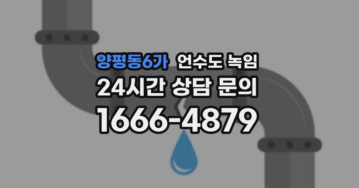 양평동6가 언수도 녹임