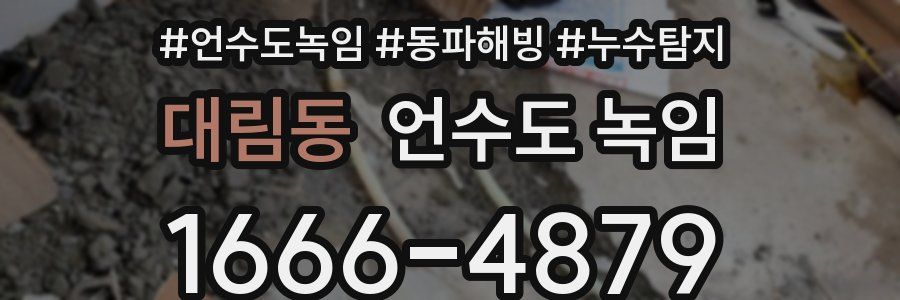 대림동 언수도 녹임