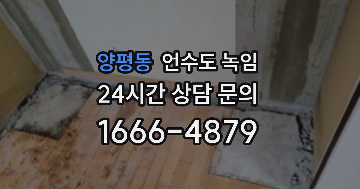 양평동 언수도 녹임