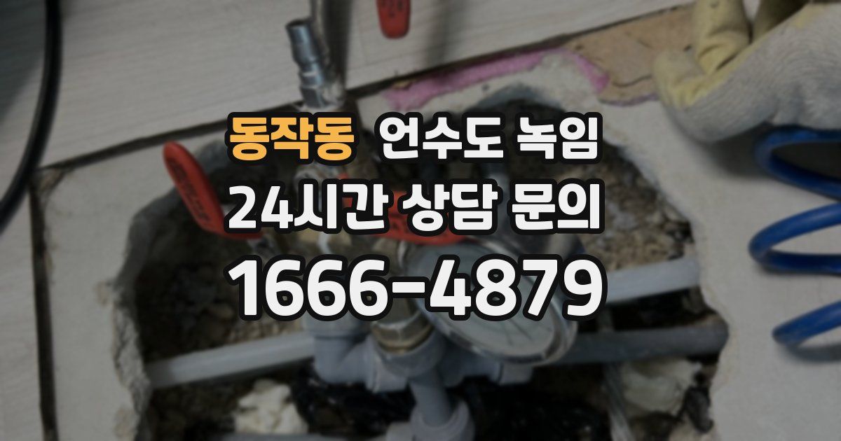 동작동 언수도 녹임