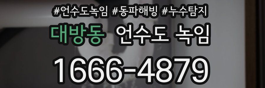 대방동 언수도 녹임