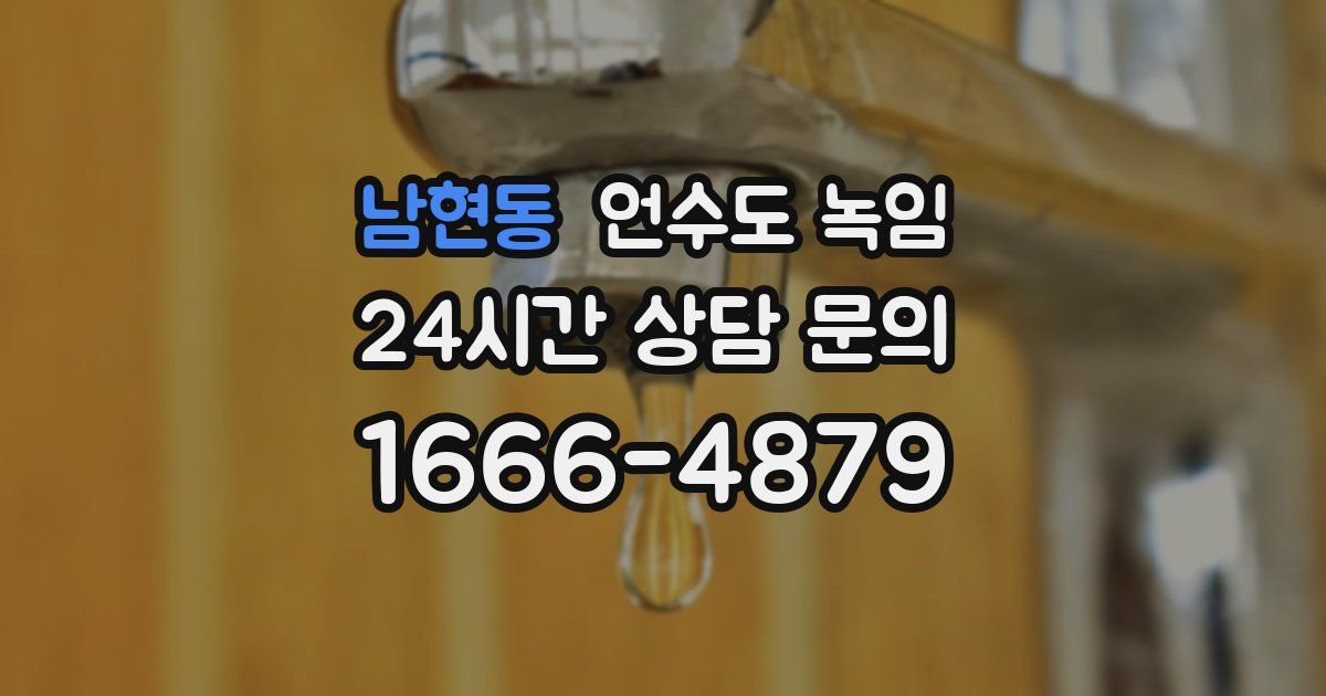 남현동 언수도 녹임