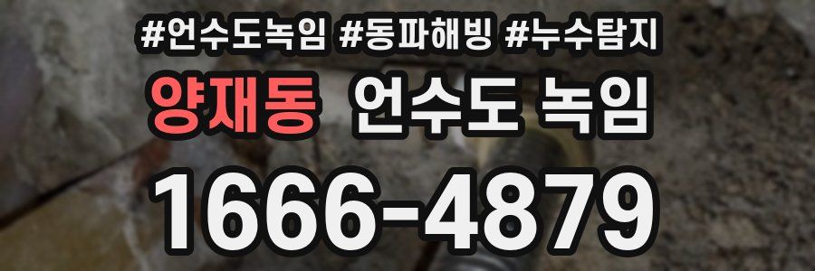 양재동 언수도 녹임