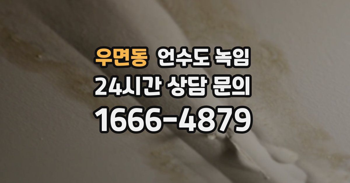 우면동 언수도 녹임