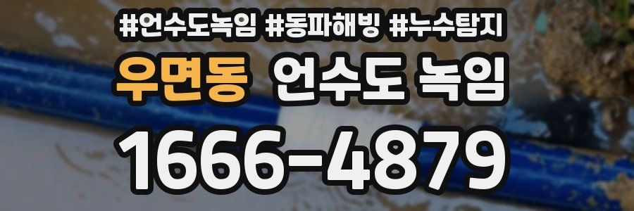 우면동 언수도 녹임
