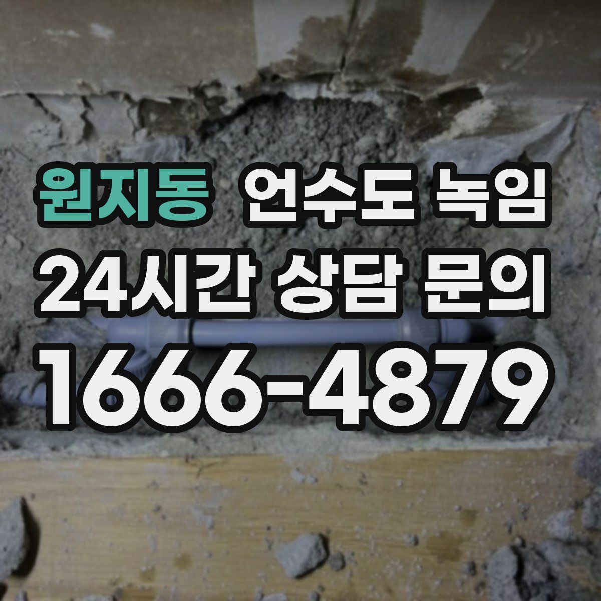 원지동 언수도 녹임