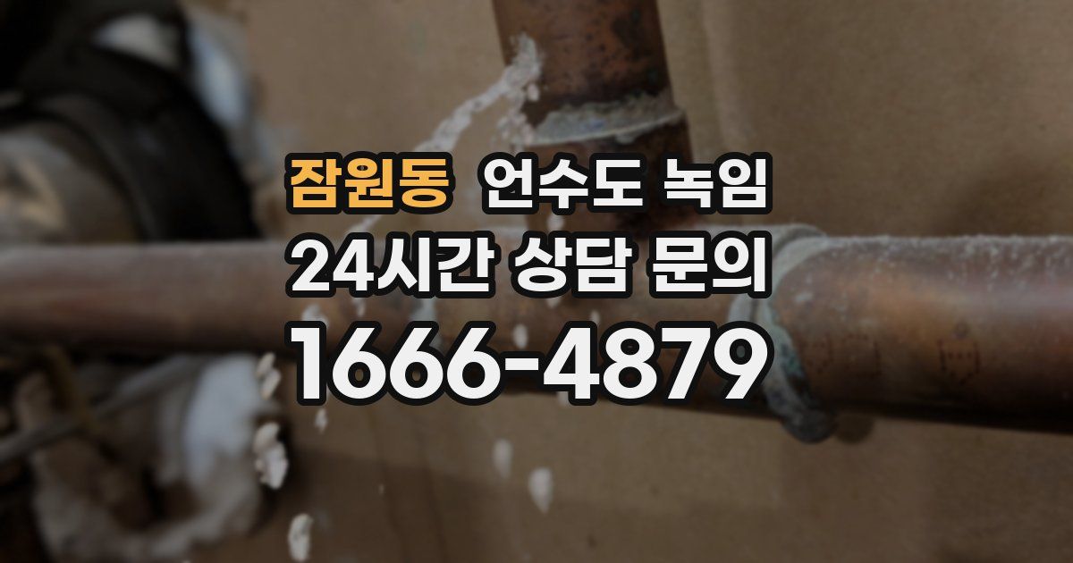 잠원동 언수도 녹임