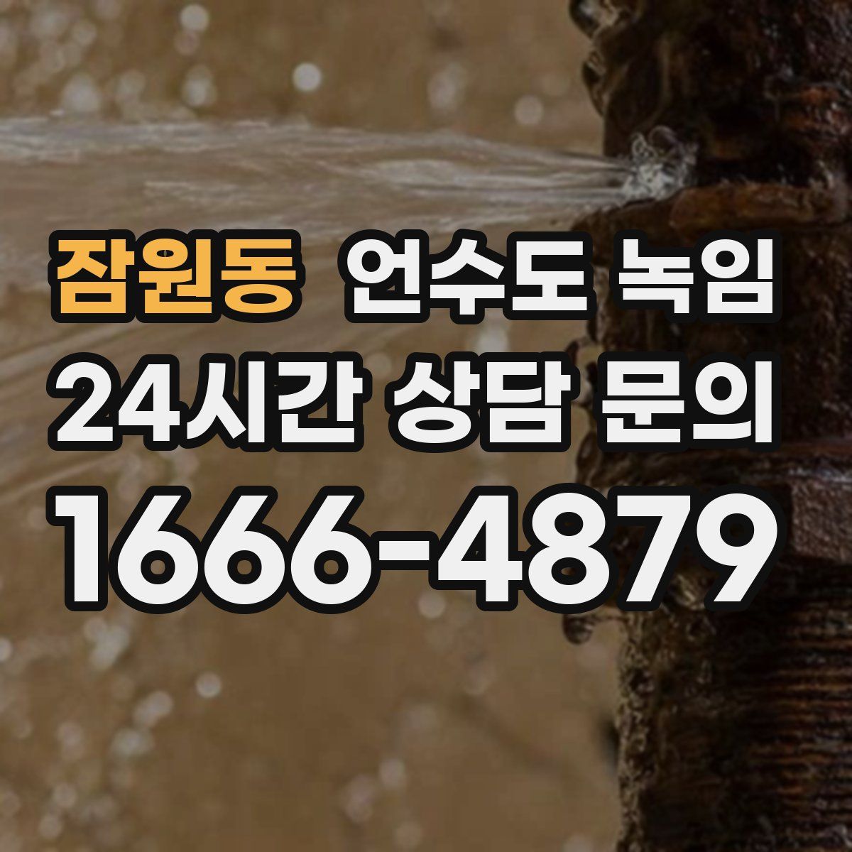 잠원동 언수도 녹임