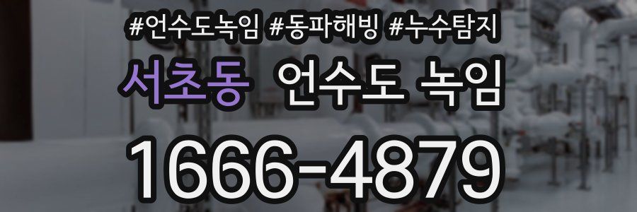 서초동 언수도 녹임