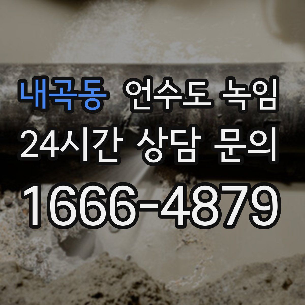 내곡동 언수도 녹임