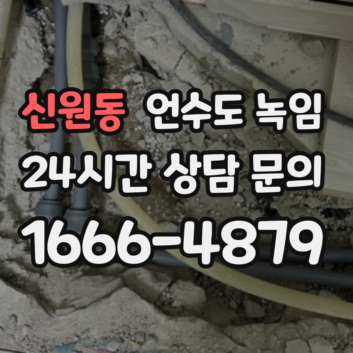 신원동 언수도 녹임