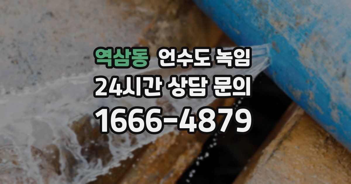 역삼동 언수도 녹임