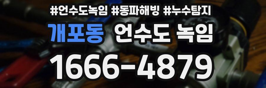 개포동 언수도 녹임