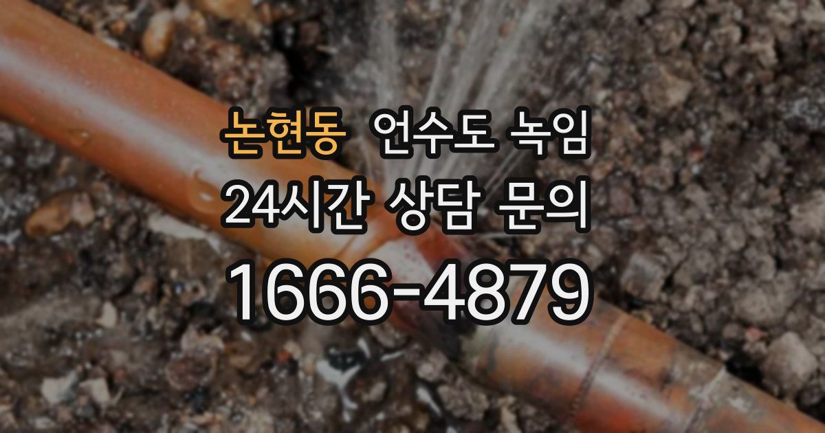 논현동 언수도 녹임