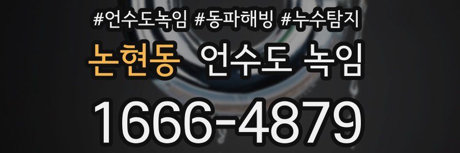 논현동 언수도 녹임