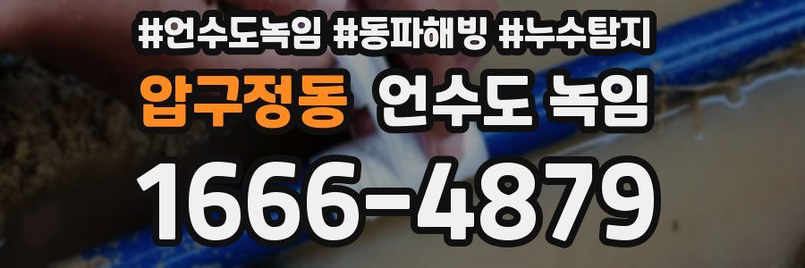 압구정동 언수도 녹임