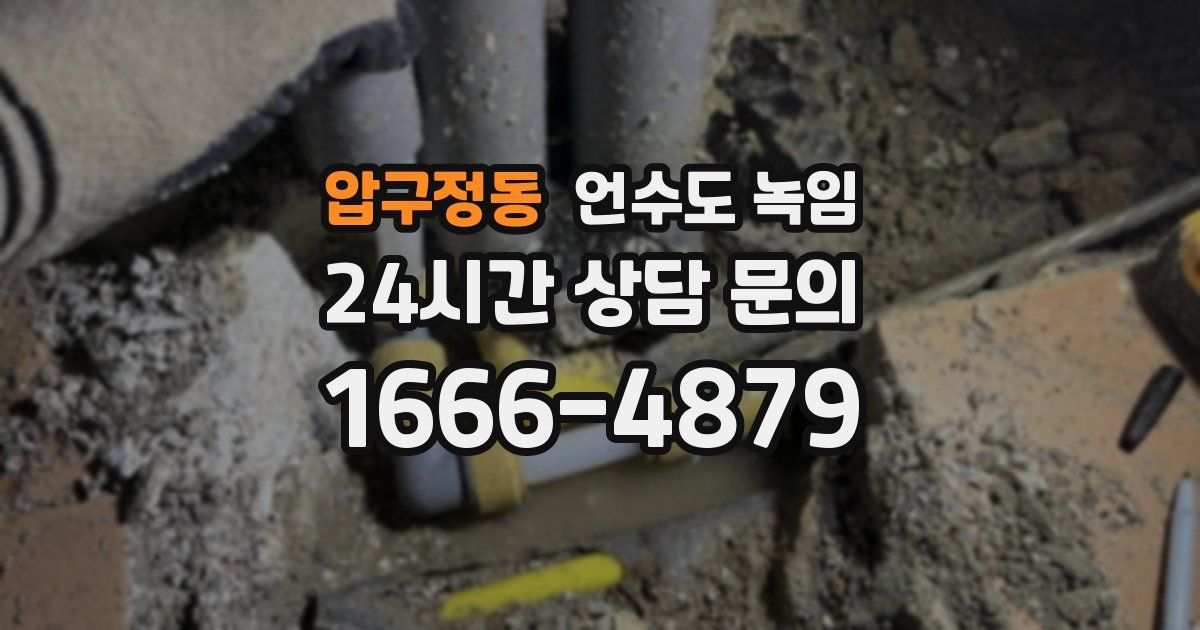 압구정동 언수도 녹임