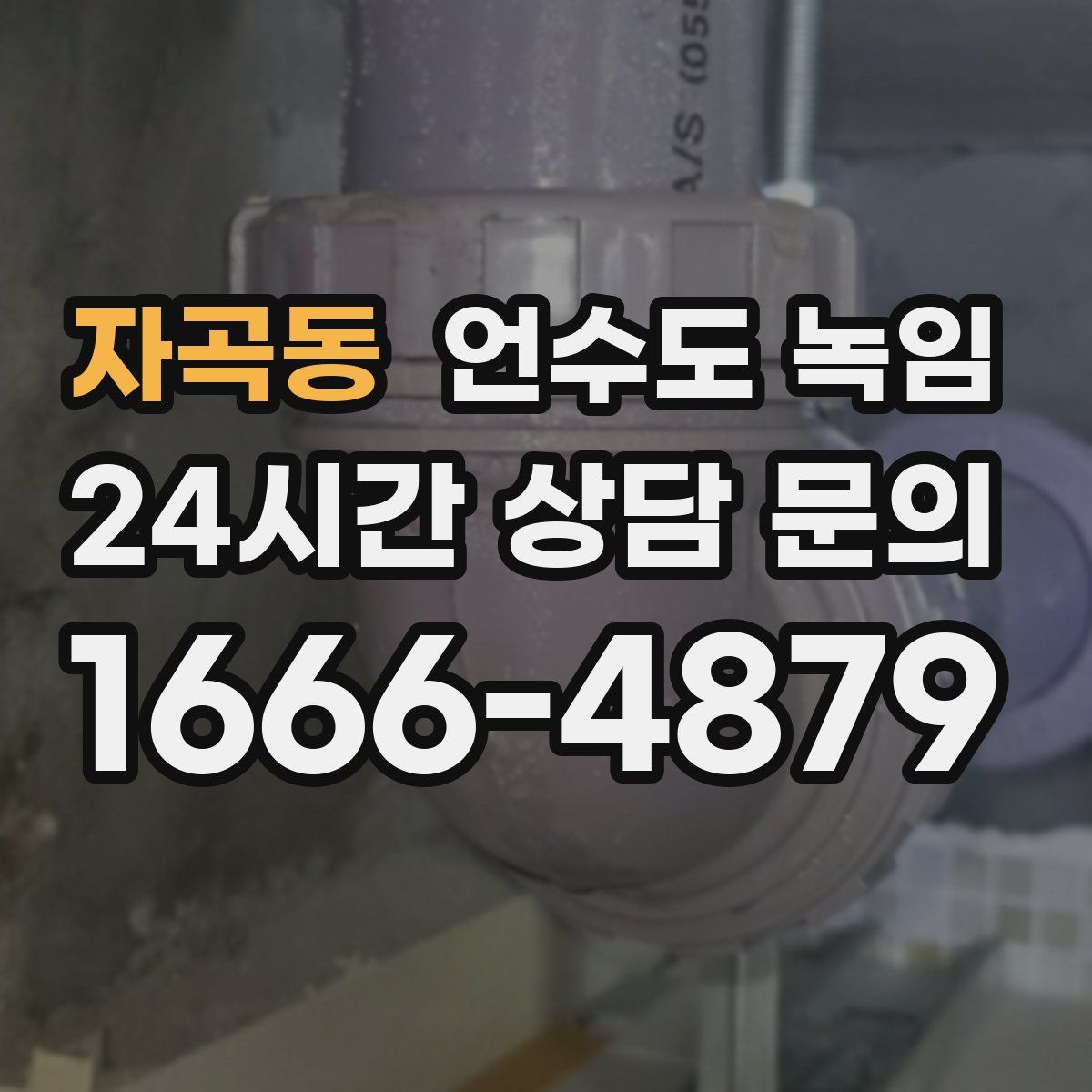 자곡동 언수도 녹임