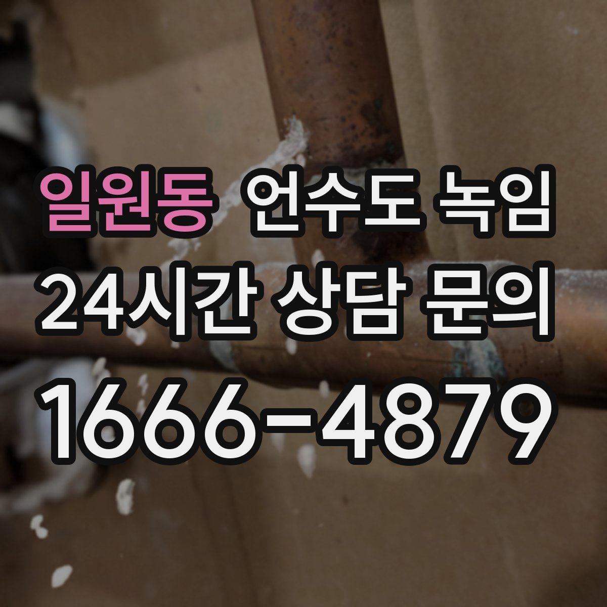 일원동 언수도 녹임