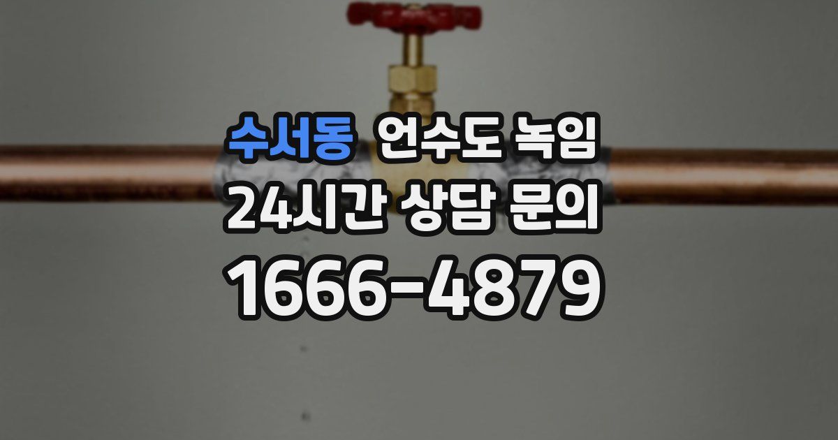 수서동 언수도 녹임