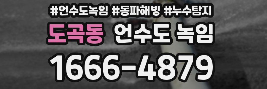 도곡동 언수도 녹임