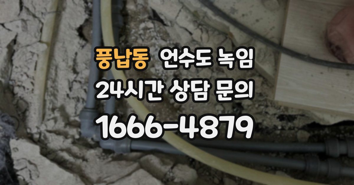 풍납동 언수도 녹임