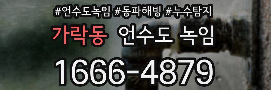 가락동 언수도 녹임