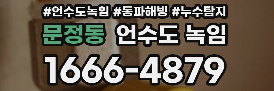 문정동 언수도 녹임